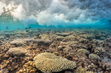Juillet, Fakarava, © Théo Guillaume
