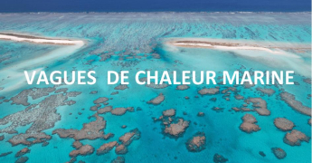Vagues de chaleur marine