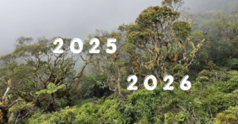 Bilan climatique saisonnier