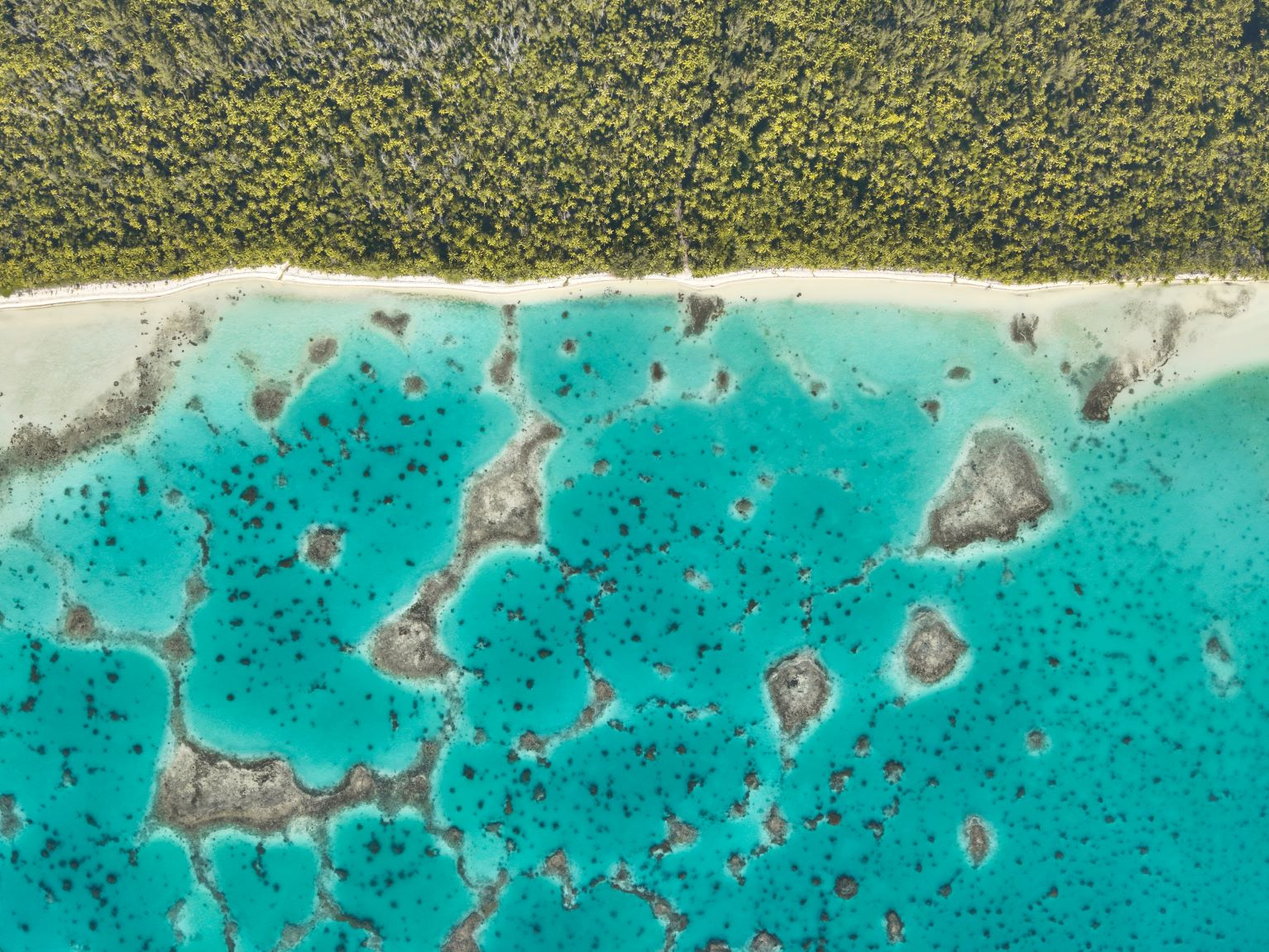 Vol au-dessus de lagon de Tetiaroa. 